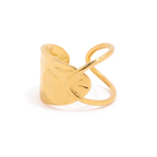 The Link - Ring